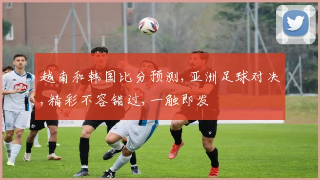 越南和韩国比分预测,亚洲足球对决,精彩不容错过,一触即发